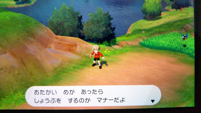 ポケモンシールド「たんぱんこぞう」1