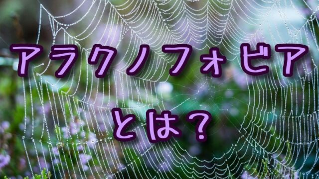 アラクノフォビア（クモ恐怖症）とは？